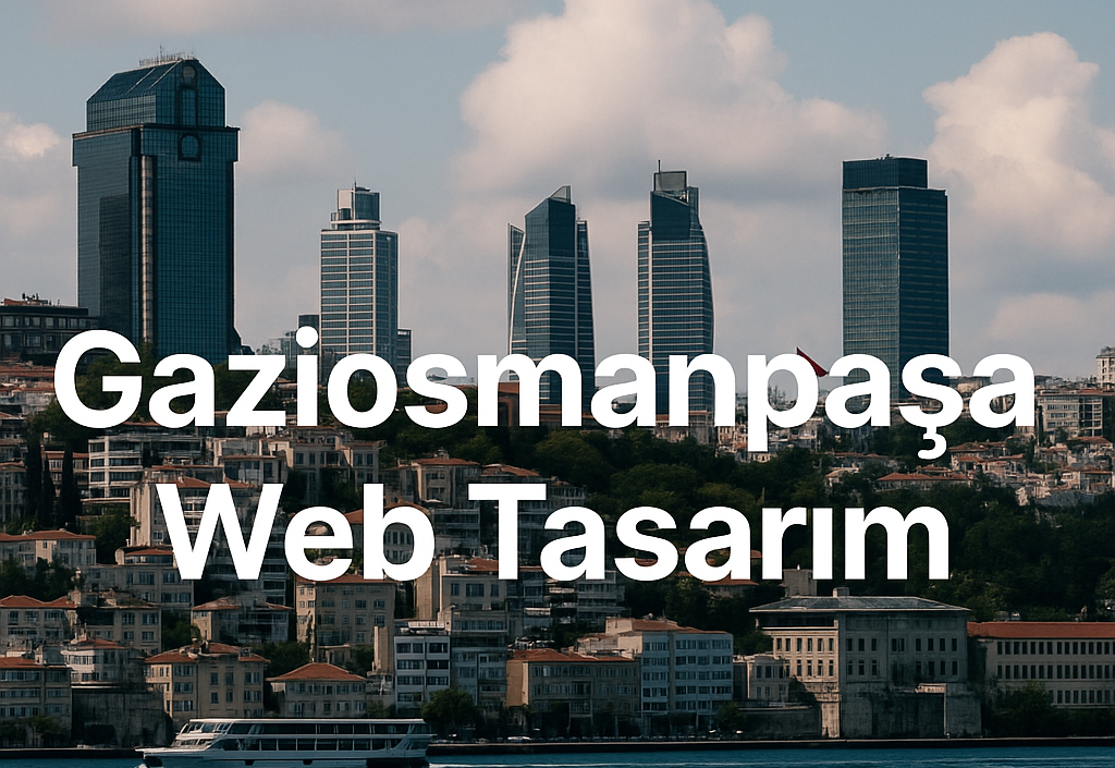 web tasarım gaziosmanpaşa